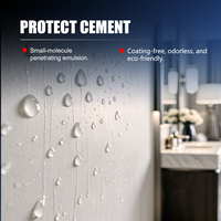 Imperméabilisant pour murs Fabricant d'émulsion pénétrante anti-efflorescence pour murs décoratifs intérieurs WH6982