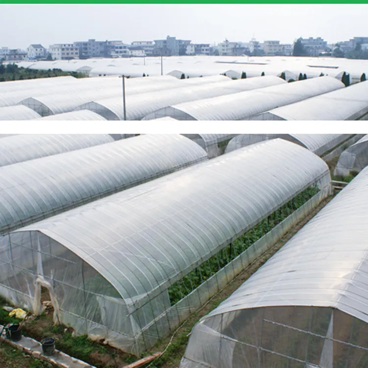 long service time anti-aging greenhouse film micron anti-UV plastic greenhouse Commercial film