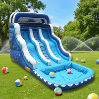 Toboggans aquatiques gonflables en PVC à double vague avec piscine pour les fêtes d'enfants dans la cour et la location