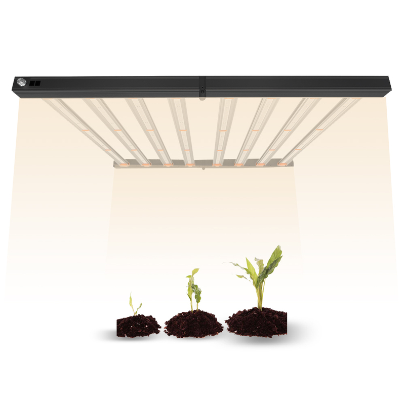 Wholesale Hydroponics Indoor Plant Growing System
