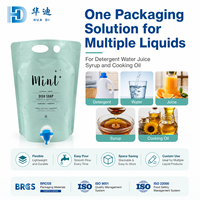 Sacs Bag-in-Box personnalisés imprimés 1L 3L 5L avec robinet, en aluminium, étanches, pour les marques de détergent liquide vaisselle