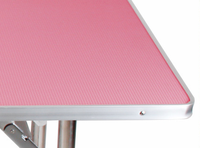 Kingtale-Table de toilettage pliante en acier inoxydable pour animaux domestiques