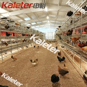 Système de volière poule pondeuse volaille poulet ferme poulet nichoir couche cage à volaille système sans mangeoire à poulet volaille pour - Product Image 2