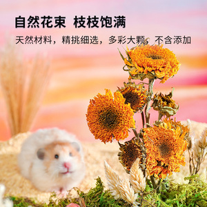 Literie pour hamster de conception originale faite de fleurs séchées naturelles librement combinables - Product Image 4