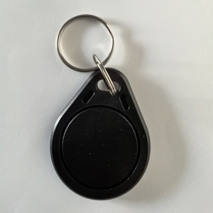 <span class=keywords><strong>RFID</strong></span> cổ điển <span class=keywords><strong>1K</strong></span> F08 chip nhựa <span class=keywords><strong>Key</strong></span> <span class=keywords><strong>Fob</strong></span> - Product Image 3