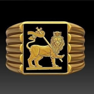 ユダのライオンリング 316Lステンレススチール PVD 18Kゴールドメッキジュエリー 繊細なライオン騎士印台リング - Product Image 4