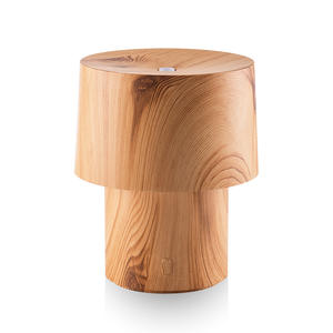 Difusor de aroma de hongos, mini humidificador con luz LED, alimentado por USB, capacidad de 0.5L, lámpara de mesa para uso en el hogar y dormitorio. - Product Image 4