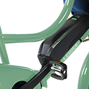 Vente en gros <span class=keywords><strong>vélo</strong></span> longue portée 250W 48V 10.5 pouces Schwalbe Big Ben PLUS X 2.15 pneu <span class=keywords><strong>vélo</strong></span> <span class=keywords><strong>cargo</strong></span> pour adulte - Product Image 5