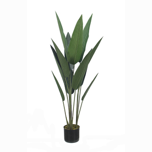 Vente en gros de bananes en pot, oiseaux de plantes de paradis, nouveau design décoratif pour la maison - Product Image 4
