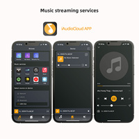 Amplificateur Récepteur Stéréo Bluetooth 5.4 avec Subwoofer Cl-300W Pro I ARC Système de Streaming Hi-Fi Sans Fil pour la Maison