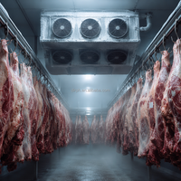 Unidad de Refrigeración Monobloque 220V 60Hz 110V 50HZ para Cámaras Frigoríficas y Congeladores Pequeños