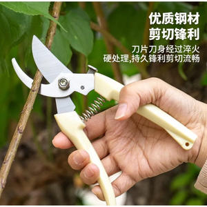 Tijeras de Podar Curvas Manuales de 7 Pulgadas para Jardinería, para Podar Ramas y Cortar Flores, Directo de Fábrica - Product Image 3