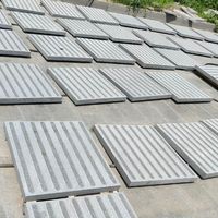 Dalles de pavage tactiles en granit durables et écologiques, directement de l'usine, pour trottoirs modernes sans obstacle et parcs extérieurs