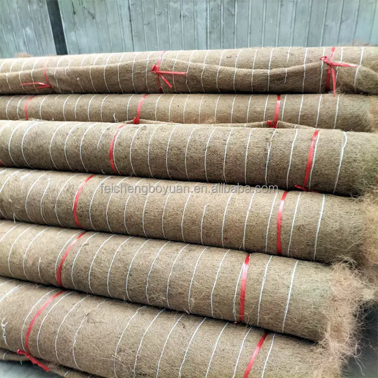 Duvar takviye hindistan cevizi fiber zemin koruma yol paspas rulo coir erozyon kontrol battaniyeler