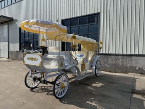 Carruaje de caballos de estilo real más vendido Carruaje de turismo eléctrico elegante para bodas - Product Image 3