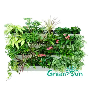 GreenSun 수직 정원 화분과 수직 정원 greenwall hydrofalls를 위한 재배자