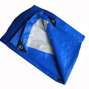 Vente directe d'usine, bâche en PE légère, résistante aux UV, imperméable, bords renforcés, œillets métalliques, taille personnalisée pour - Product Image 1