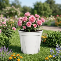 Pots de fleurs modernes, mignons, durables et légers en plastique PP blancs pour pépinière, jardin vertical, sol, démarrage, élégants, pour bureau et intérieur