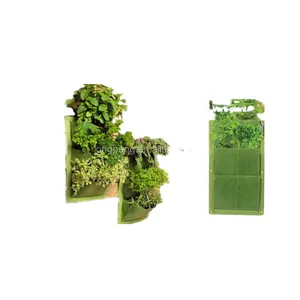 수직 재배자, 수직 정원 체계, 꽃/녹색 식물과 함께 사용되는 벽 거는 화분 고전적인 수직 녹화 BSCI