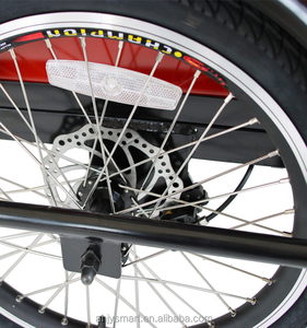 Tricycle électrique de fret familial CE, entrepôt UE néerlandais, <span class=keywords><strong>remorque</strong></span> de vélo de fret, tricycle électrique à trois roues, e-cargo pour animaux de compagnie - Product Image 6
