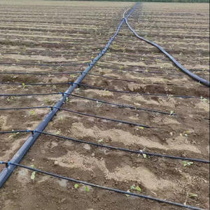 Système d'irrigation <span class=keywords><strong>goutte</strong></span> à <span class=keywords><strong>goutte</strong></span> <span class=keywords><strong>Tuyau</strong></span> PE Layflat <span class=keywords><strong>Tuyau</strong></span> principal <span class=keywords><strong>goutte</strong></span> à <span class=keywords><strong>goutte</strong></span> <span class=keywords><strong>Tuyau</strong></span> d'irrigation agricole avec trou préformé - Product Image 3
