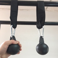 Gymnases à domicile Power Rack Fitness Pull Up Training Steel Cannonball Grips Ball avec mousqueton Sangle de suspension