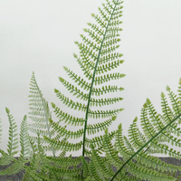 Meilleures ventes : Nouvelle fougère artificielle chinoise de style zen, fougère artificielle luxuriante et pleine pour l'aménagement paysager des cours et jardins