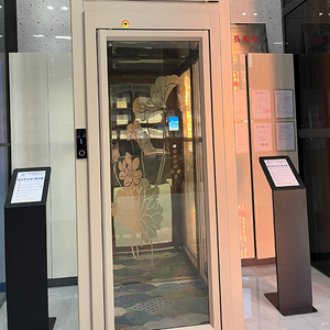 ลิฟต์อัตโนมัติสำหรับภายในและภายนอกอาคาร 2-4 ชั้น ลิฟต์ราคาประหยัด ลิฟต์บ้านขนาดเล็กสำหรับขาย - Product Image 2