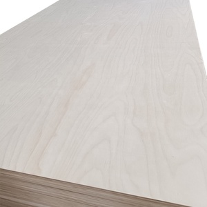 Contrachapado de Abedul de <span class=keywords><strong>Alta</strong></span> Calidad de 12 mm y 18 mm, <span class=keywords><strong>Madera</strong></span> Contrachapada de Abedul para Muebles - Product Image 2