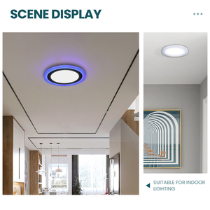 Panel <span class=keywords><strong>de</strong></span> luz <span class=keywords><strong>LED</strong></span> regulable para <span class=keywords><strong>techo</strong></span> para dormitorio interior Dingdian <span class=keywords><strong>LED</strong></span> ultrafino, hebilla <span class=keywords><strong>de</strong></span> 12 + 4W, redondo/cuadrado, doble Color 80 - Product Image 6