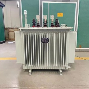 Transformador de Potencia Trifásico de 1 MVA, 11/0.4 KV, 11KV 0.4KV - Product Image 6