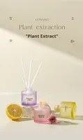 Diffuseur d'huiles essentielles sans alcool artisanal, frais d'été, pour l'aromathérapie, avec un design cylindrique, désodorise les toilettes intérieures