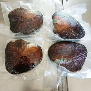 Perle d'acqua dolce naturali sigillate sottovuoto, a forma speciale, all'ingrosso per la creazione di gioielli, fai <span class=keywords><strong>da</strong></span> te, giochi di apertura e regali - Product Image 3