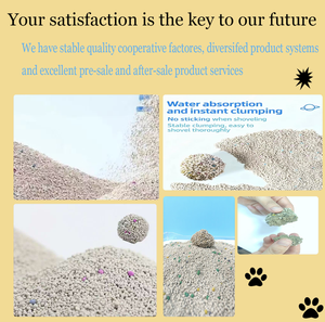 Benjie Bentonit Silica-Gel Katzenstreu Hochabsorbierend Staubarm Umweltfreundlich Schnell Klumpend <span class=keywords><strong>100</strong></span>% Natürliche Bentonit-Kugeln - Product Image 3