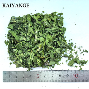 KAIYANGE Feuilles de marrue entières séchées naturellement à la machine, <span class=keywords><strong>tisane</strong></span> sans additifs, biologique, vente en gros, approvisionnement direct, meilleurs extraits botaniques - Product Image 1