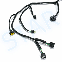 Connecteur automobile personnalisé 24 voies s/Aptive 211PC249S0033, faisceau de câbles électriques, assemblage de câbles pour boîte de chargement