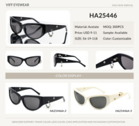 Lunettes de soleil polarisées Y2K pour femmes, faites à la main en acétate, personnalisables, de haute qualité, avec accessoires en métal, vente en gros HA24556