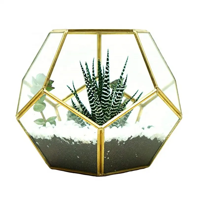 แก้วรูปทรงเรขาคณิต Terrarium ขายส่งเรือนกระจกบ้านดอกไม้แก้วสวน Terrarium แก้วสำหรับพืช