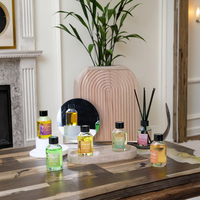 Emballage décoratif personnalisé de 100ml Décoration de maison de luxe Diffuseurs de roseau de haute qualité Cristal sans produits chimiques nocifs