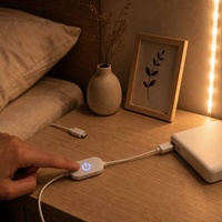 Câble de commutation tactile USB ANNXIN avec variateur d'intensité Type-C Micro USB et rétroéclairage bleu pour bande LED 1,2 m Vente en gros OEM