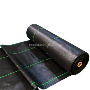 Toile géotextile <span class=keywords><strong>anti</strong></span>-mauvaises herbes respirante et perméable à l'eau en PE, fabriquée en Chine, pour la protection agricole, tapis de protection du sol, découpe sur mesure - Product Image 6