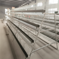 Système de cages à poules pondeuses durables, équipement d'élevage avicole commercial, cages en batterie multi-niveaux pour la production d'œufs