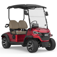 Voiturette de golf électrique professionnelle personnalisée, nouveau style, 2 places, véhicule utilitaire, moteur AC 48V 5Kw, buggy utilitaire, club car
