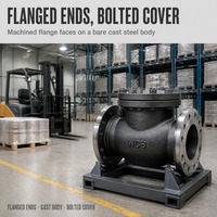 Vanne de retenue à corps moulé, à disque oscillant, à couvercle boulonné, à extrémités à brides, API 594 Classe 150 A216 WCB, pour usine de traitement chimique, directement de l'usine