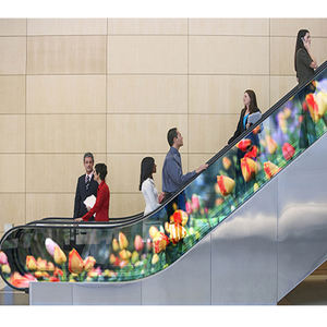 पी 10 फिल्म की अगुवाई में प्रदर्शन 10 मिमी पिक्सेल पिच 4000cd/m² चमक होलोग्राफपिक लचीले पारदर्शी नेतृत्व वाली फिल्म - Product Image 5