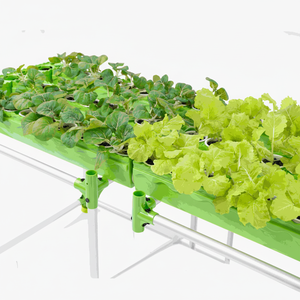 Kit de cultivo de invernadero de acuaponia hidropónica profesional, sistema de maceta económico para interiores y exteriores, verduras, hierbas, flores H - Product Image 1