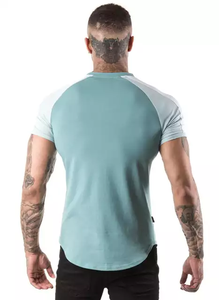 T-shirt pour hommes, modèle vierge avec votre propre Logo imprimé, vente en gros, - Product Image 3