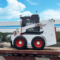 Spedizione Gratuita per Minipala Cingolata Diesel Nuova Piccola per Uso Domestico e Agricolo con Braccio di Bilanciamento