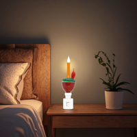 Lampe de nuit de Noël festive en forme d'oiseau perché, lampe sécurisée pour enfants pour la décoration de la maison et des fêtes, logo personnalisé, vente en gros