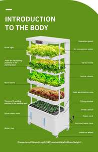 Sistema de Cultivo Hidropónico Completo para Jardín Doméstico y Agricultura de Bajo Costo, Ideal para Vegetales - Product Image 4